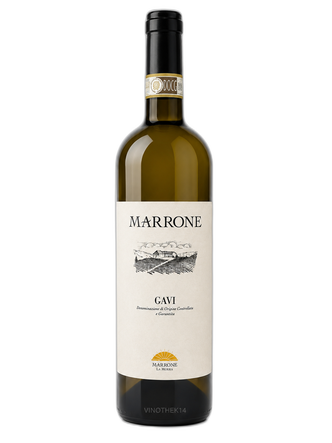 Gavi DOCG 2023