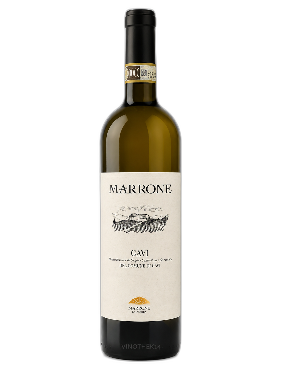 Gavi del Comune di Gavi DOCG 2023